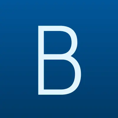 БНК, информационный портал, лого-визитка