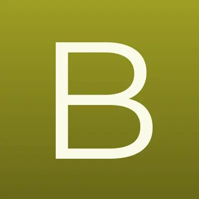 БСИ, лого-визитка