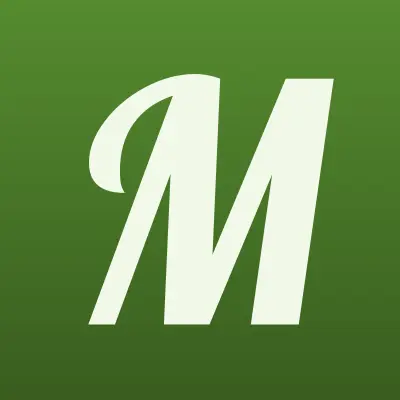 MOBIL MAX, салон-магазин, лого-визитка