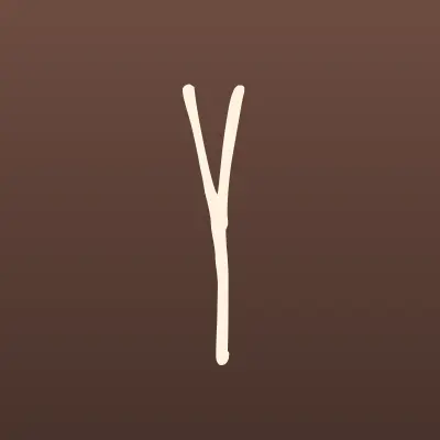Ян